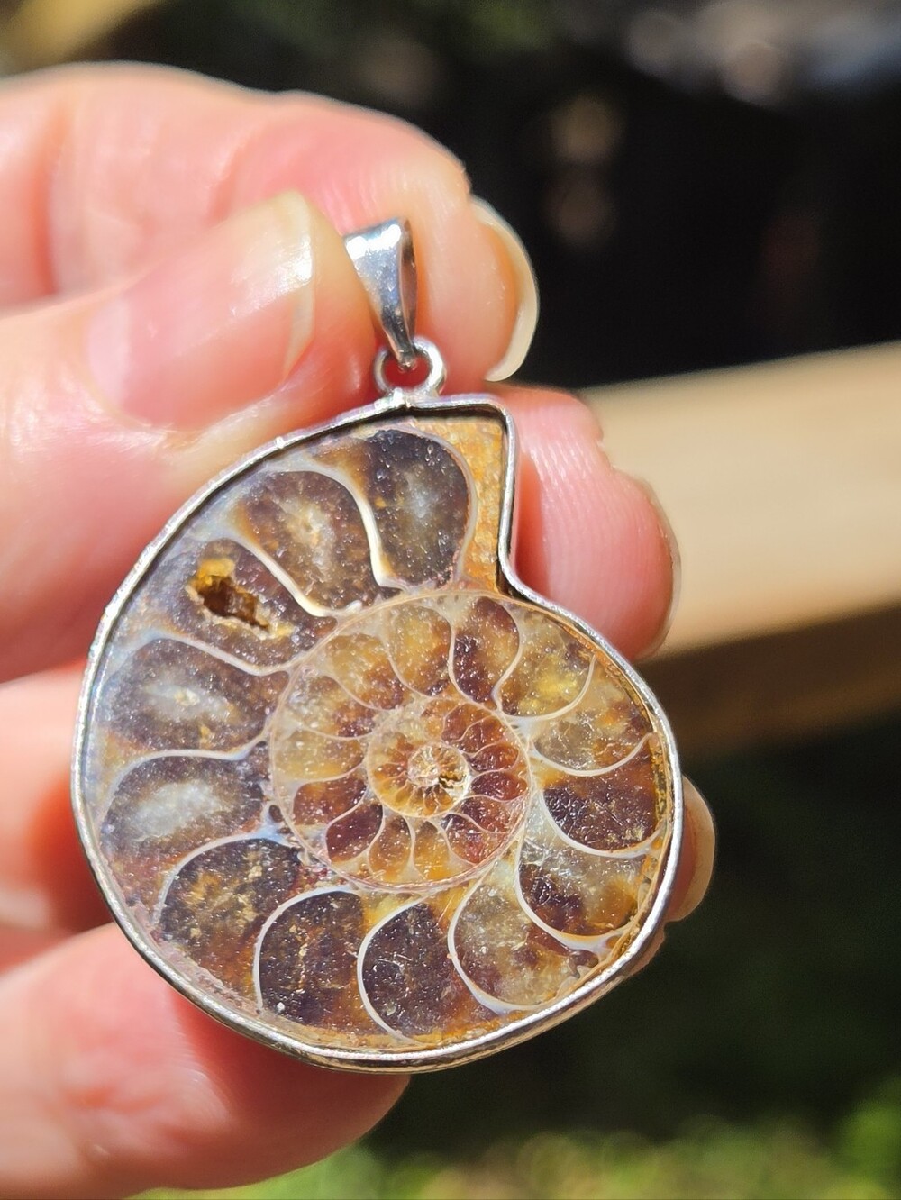 Opalized Ammonite Fossil Sterling Silver Pendant - Picture 4 of 8
